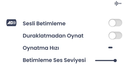 Resimde sesli açıklamalar, duraklatmadan oynatma, oynatma hızı ve sesli açıklama ses seviyesi ayarları gösterilmektedir.