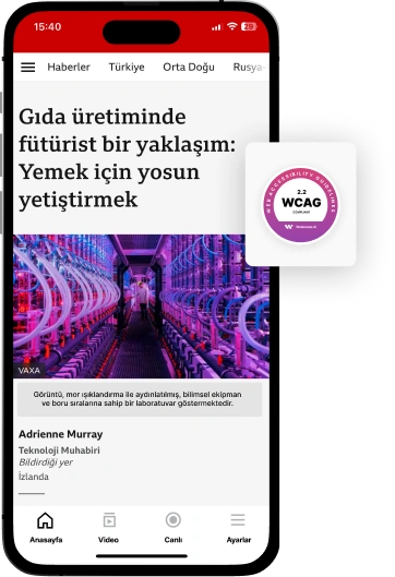 The image shows a mobile app interface with an article about Salvador Dalí's art coming to India for the first time, featuring more than 200 sketches, etchings, and watercolors by the Spanish surrealist. The interface includes navigation options such as Home, Video, Live, and More, along with a WCAG accessibility badge.