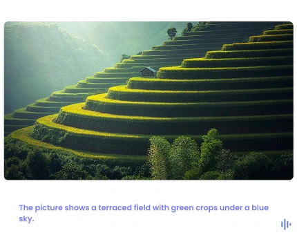 The image shows a terraced field with green crops under a blue sky, and the text below the image reads, The picture shows a terraced field with green crops under a blue sky.