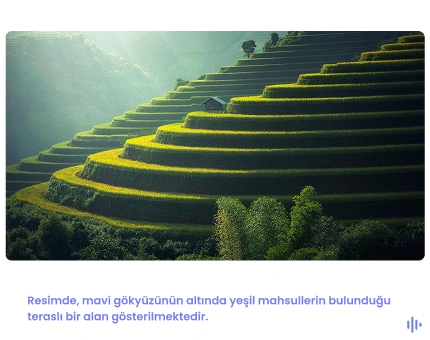 Görüntüde, mavi gökyüzü altında yeşil ürünlerle dolu teraslı bir tarla yer alıyor ve resmin altında şu ifade bulunuyor:Teraslı bir tarlada, mavi gökyüzü altında yeşil ürünler görülmektedir.